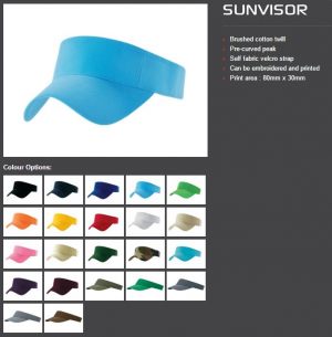 Sunvisor